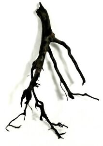 213x300 European Aquarium Wood Aquascaping Root