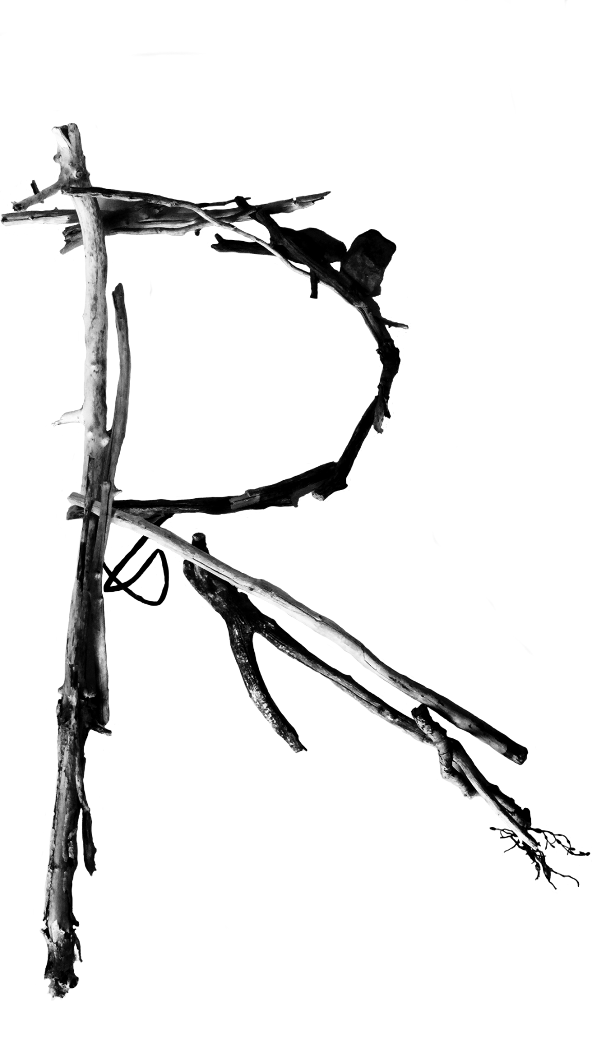 1152x2048 Driftwood Designinquiry