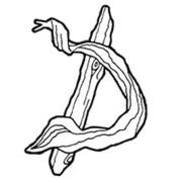 182x182 Driftwood Dance Academy