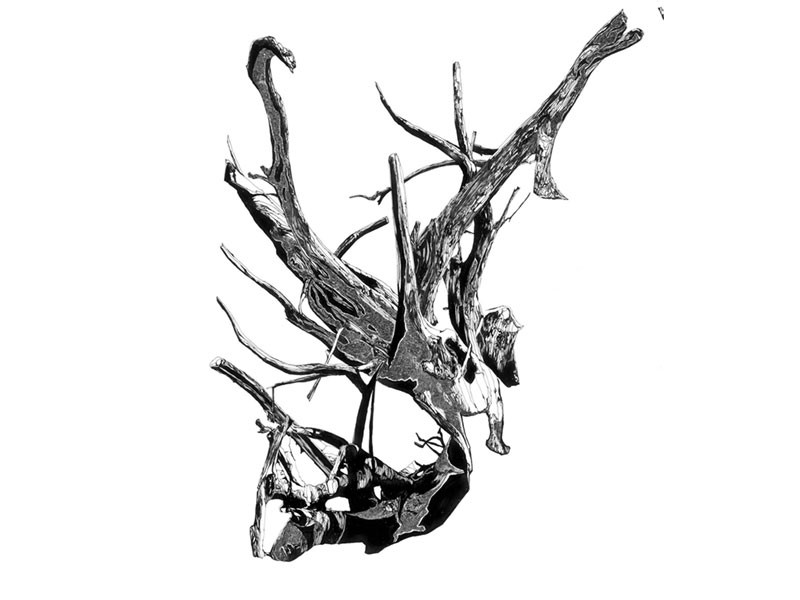 800x600 Fractured Cosmos Driftwood I Koel Gallery