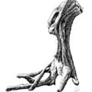 180x180 Vancouver Driftwood Drawing