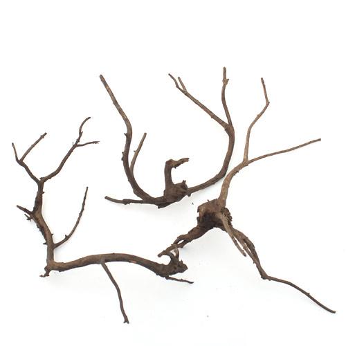 500x500 Chanet Shape Up Your Best Driftwood M