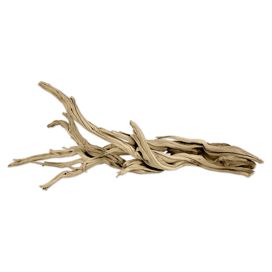 1080x1080 California Driftwood Branch Koyal Wholesale