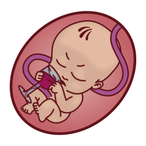 300x300 Effects Of Drinking Alcohol While Pregnant