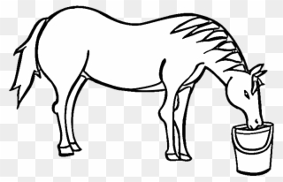 320x206 Free Png Drinking Water Clip Art Download