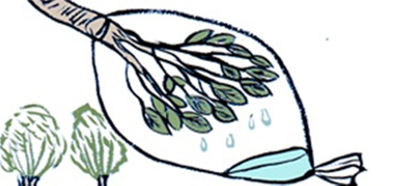 1280x600 How To Collect Safe Drinking Water From The Wilderness