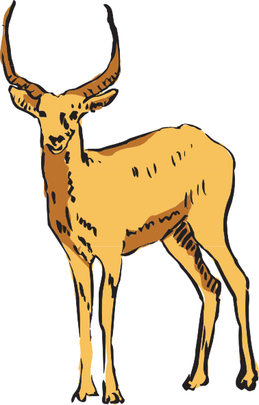 378x591 Deer Drinking Water Picture Free Huge Freebie! Download