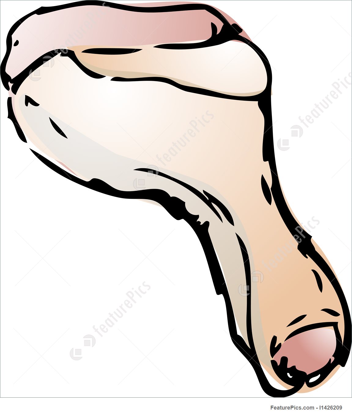 1151x1360 Illustration Of Raw Chicken Drumstick