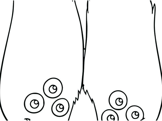 640x480 Chicken Leg Coloring Pages Book With Ch