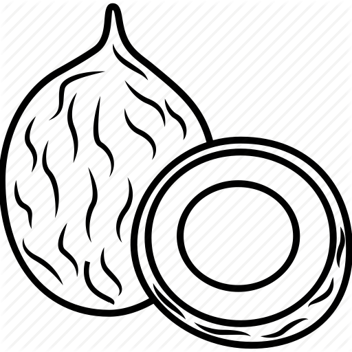 512x512 Collection Of Free Coconut Drawing Dry Download On Ui Ex