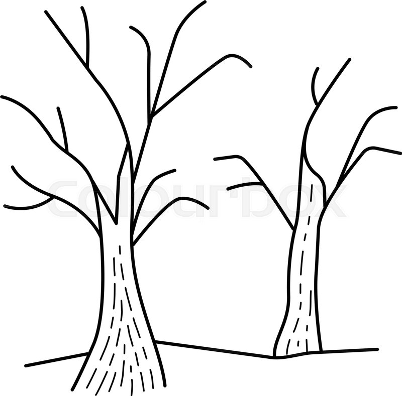 800x789 Dry Trees Vector Line Icon Isolated On Stock Vector Colourbox