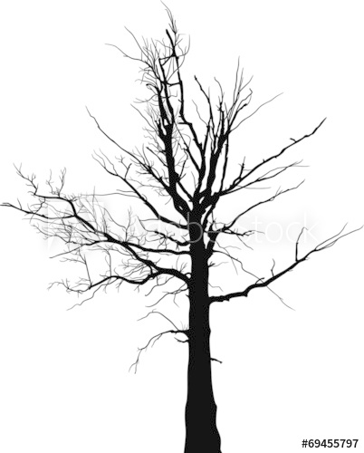402x500 Black Dry Large Tree Silhouette On White