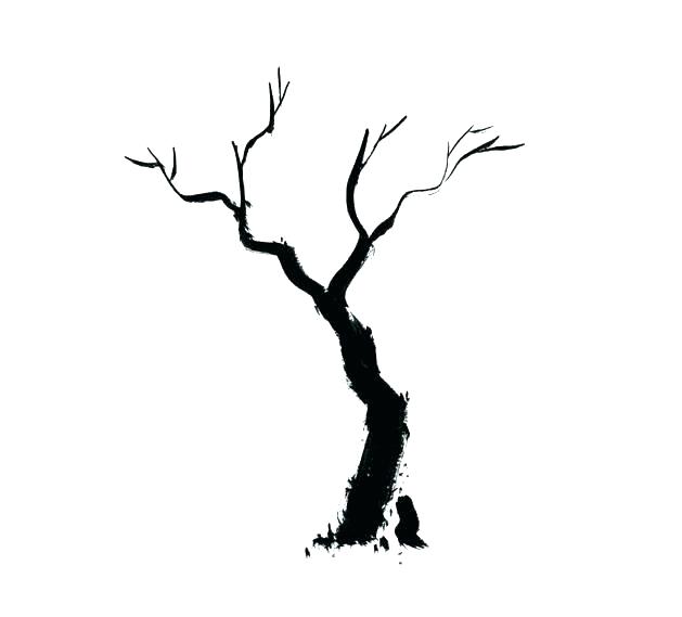 629x569 Branch Outline Autumn Tree Branches Vector Free Archive Drawing