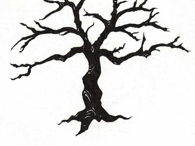 640x480 Dead Tree Clipart Dry Tree