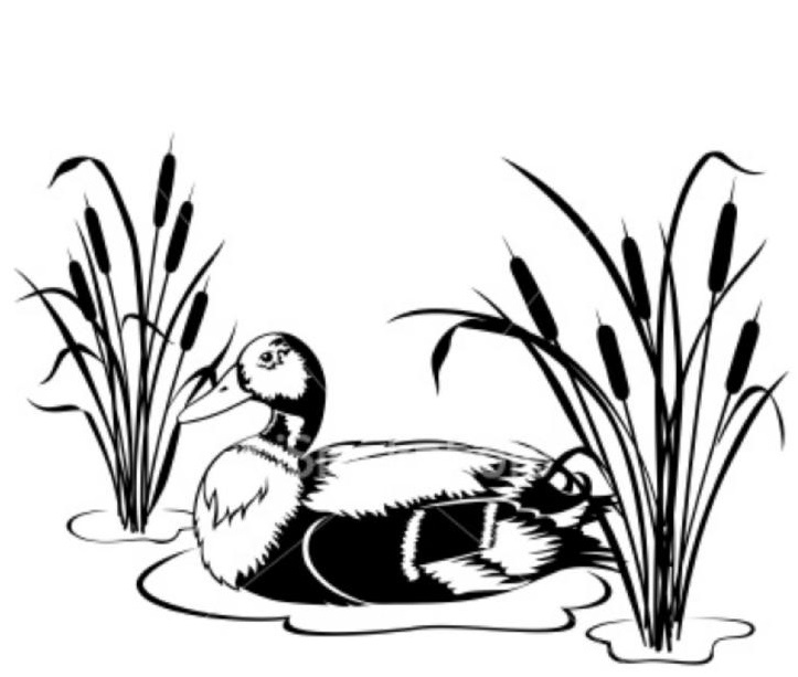 723x613 Eds Urns Nature