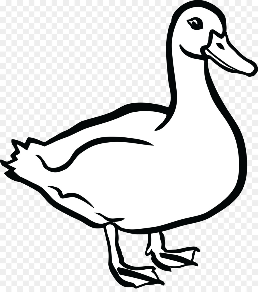 900x1020 Duck Drawing Body For Free Download