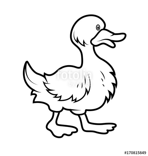 476x500 Cartoon Duck Drawing Stock Image And Royalty Free Vector