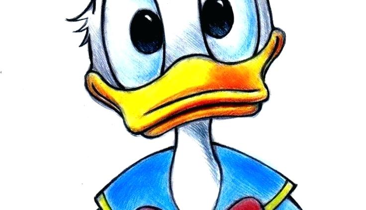 736x423 Donald Duck Drawing How To Draw Duck Easy Donald Duck Head Drawing