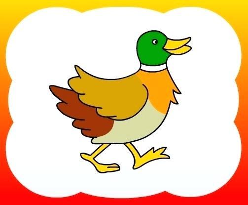 503x415 Duck Drawings How To Draw A Cute Duck