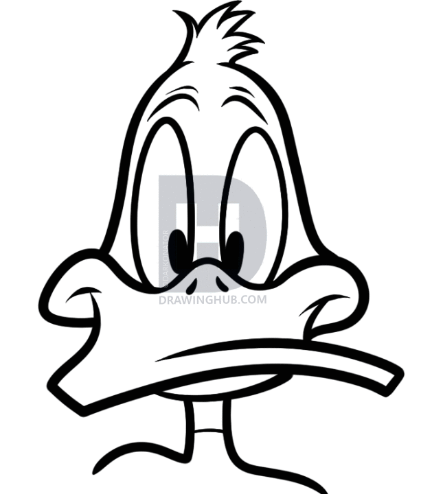 629x720 How To Draw Daffy Easy, Step