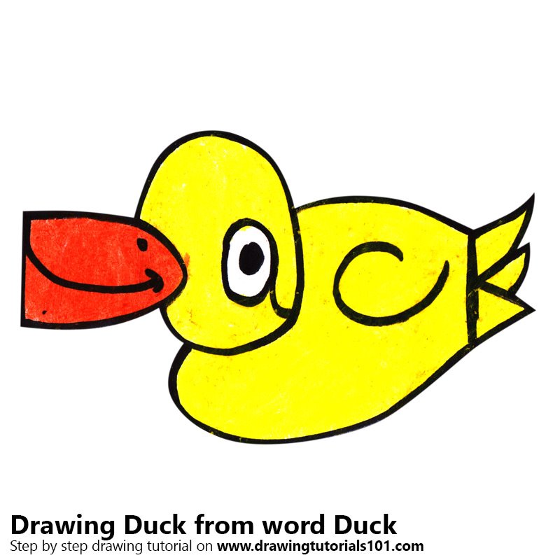 800x800 Learn How To Draw A Duck From Word Duck