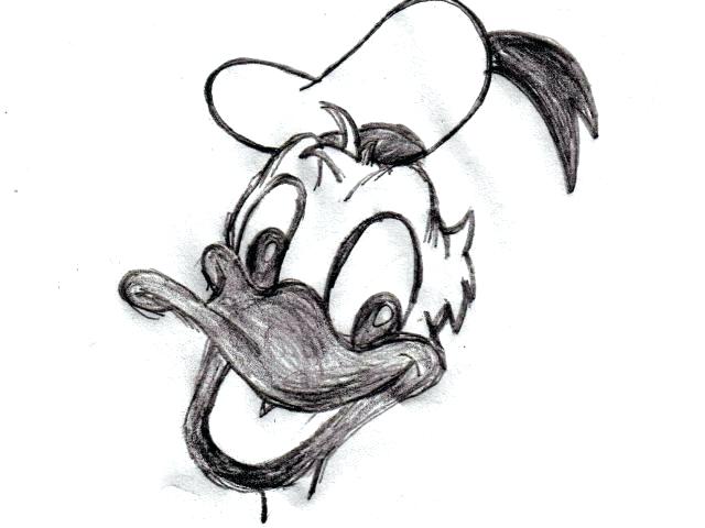 640x480 Donald Duck Draw