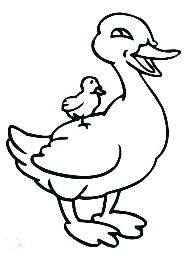 Duck Drawing Easy | Free download on ClipArtMag