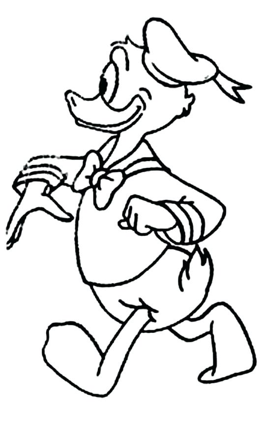533x900 drawings of donald duck drawing duck how to draw donald duck step