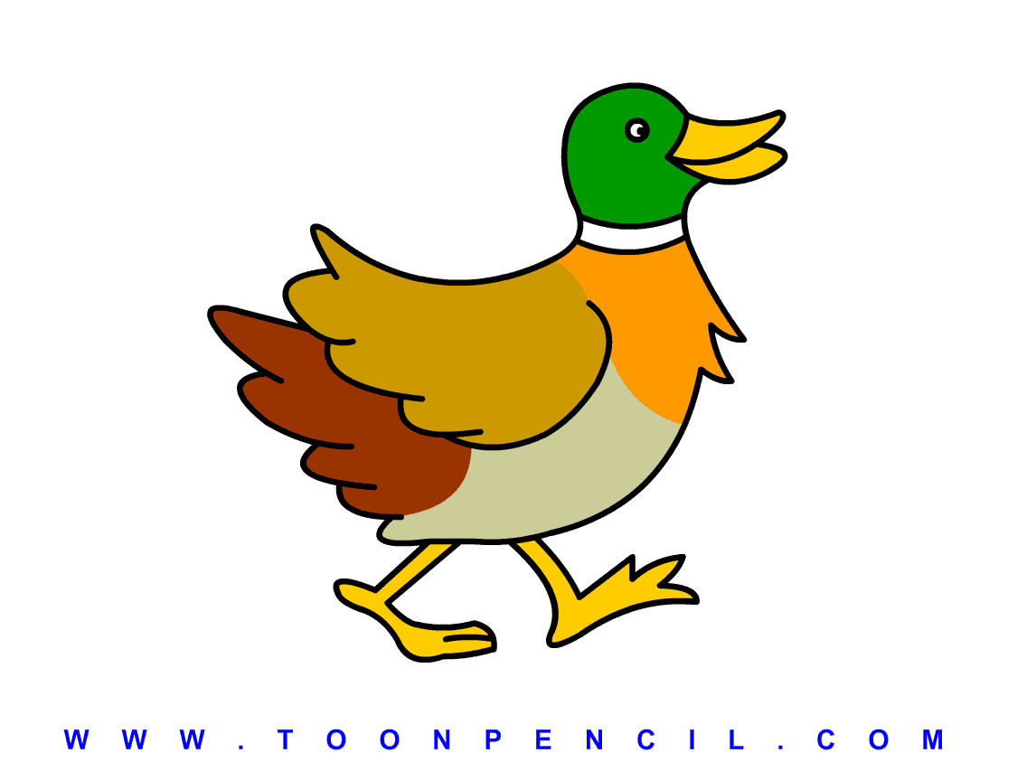 Duck Drawing For Kids
