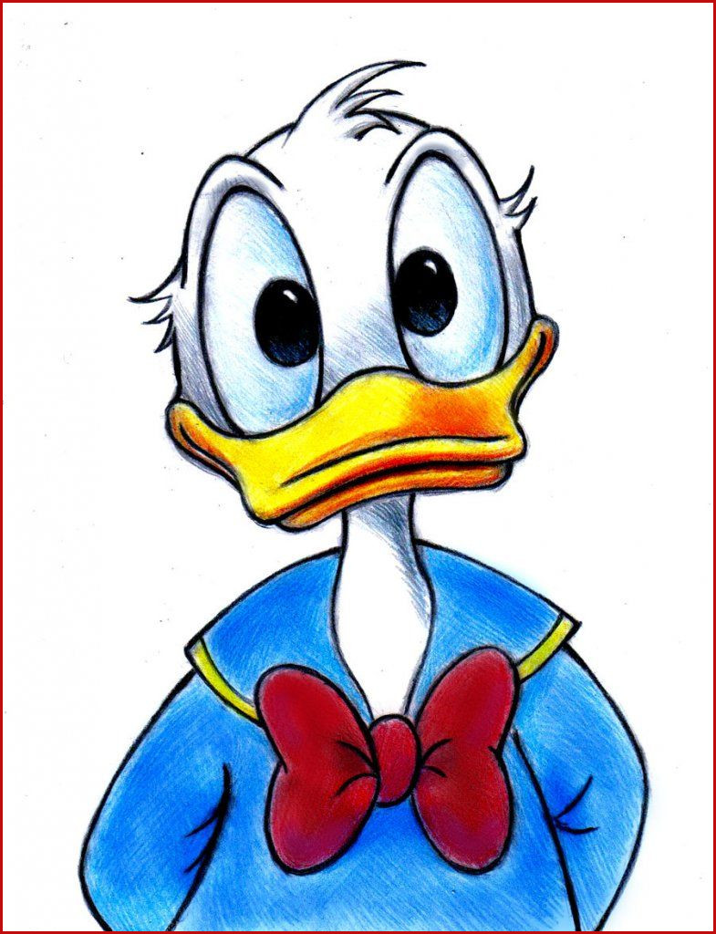785x1024 Elegant How To Draw Donald Duck Collection Of Drawing For Kids