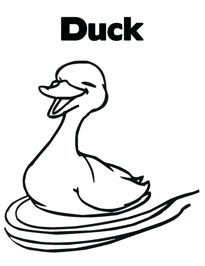 685x886 Coloring Pages Ducks