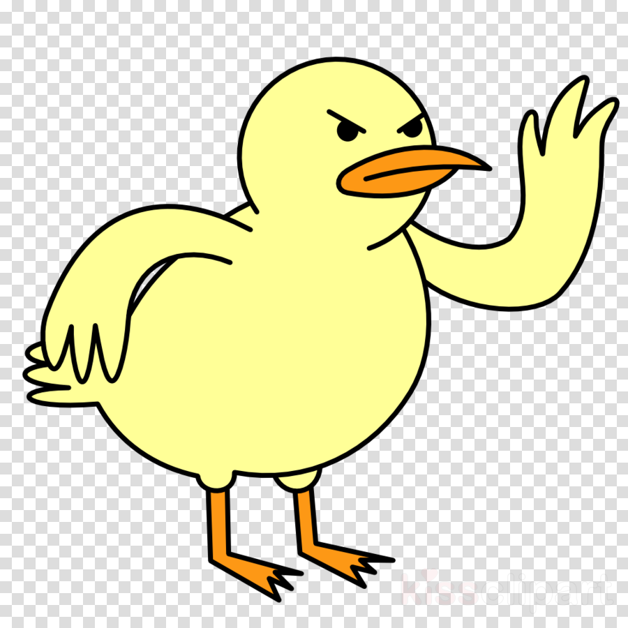 900x900 Duck, Drawing, Art, Transparent Png Image Clipart Free Download