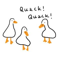 236x236 Best Duck Drawing Images Albrecht Durer, Drawings, Animal