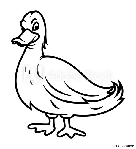 458x500 Duck Drawing