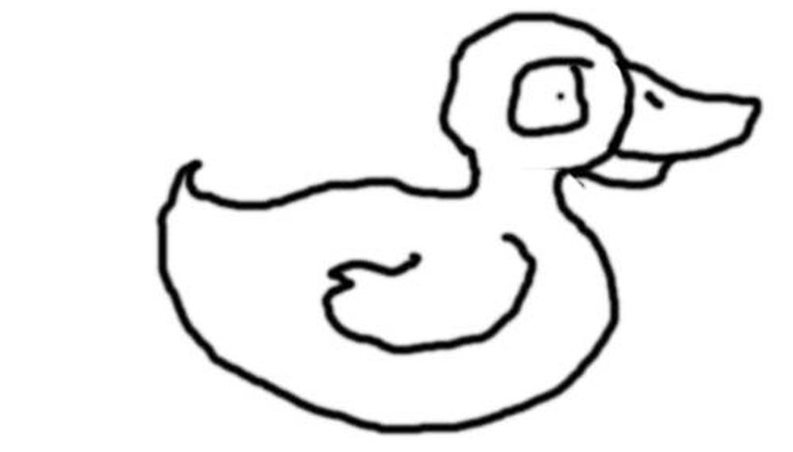 877x500 How To Draw A Duck Our Pastimes