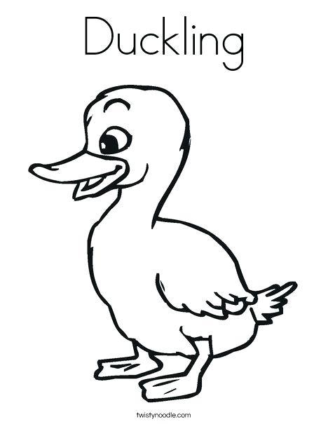 468x605 Baby Duck Drawing