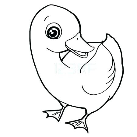 450x450 Cute Duck Coloring Pages Colouring Unique Beautiful How To Draw