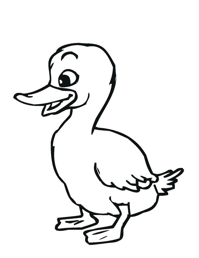 685x886 Free Printable Duck Coloring Pages For Kids Duck Coloring Pages