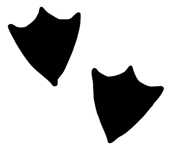 576x479 Duck Feet Clipart Clip Art