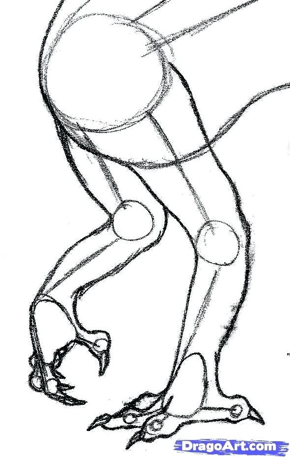 591x931 How To Draw A Dragon Foot How To Draw Dragons For Kids How To Draw