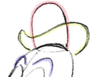 300x251 How To Draw Cartoon Ducks With Easy Step