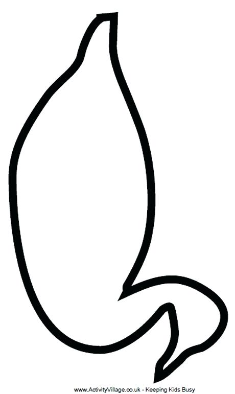 460x771 Rubber Ducky Cutouts Printable Duck Outline Vectors Template Free