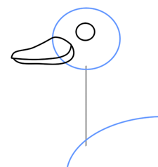 225x238 Cartoon Ducks Step