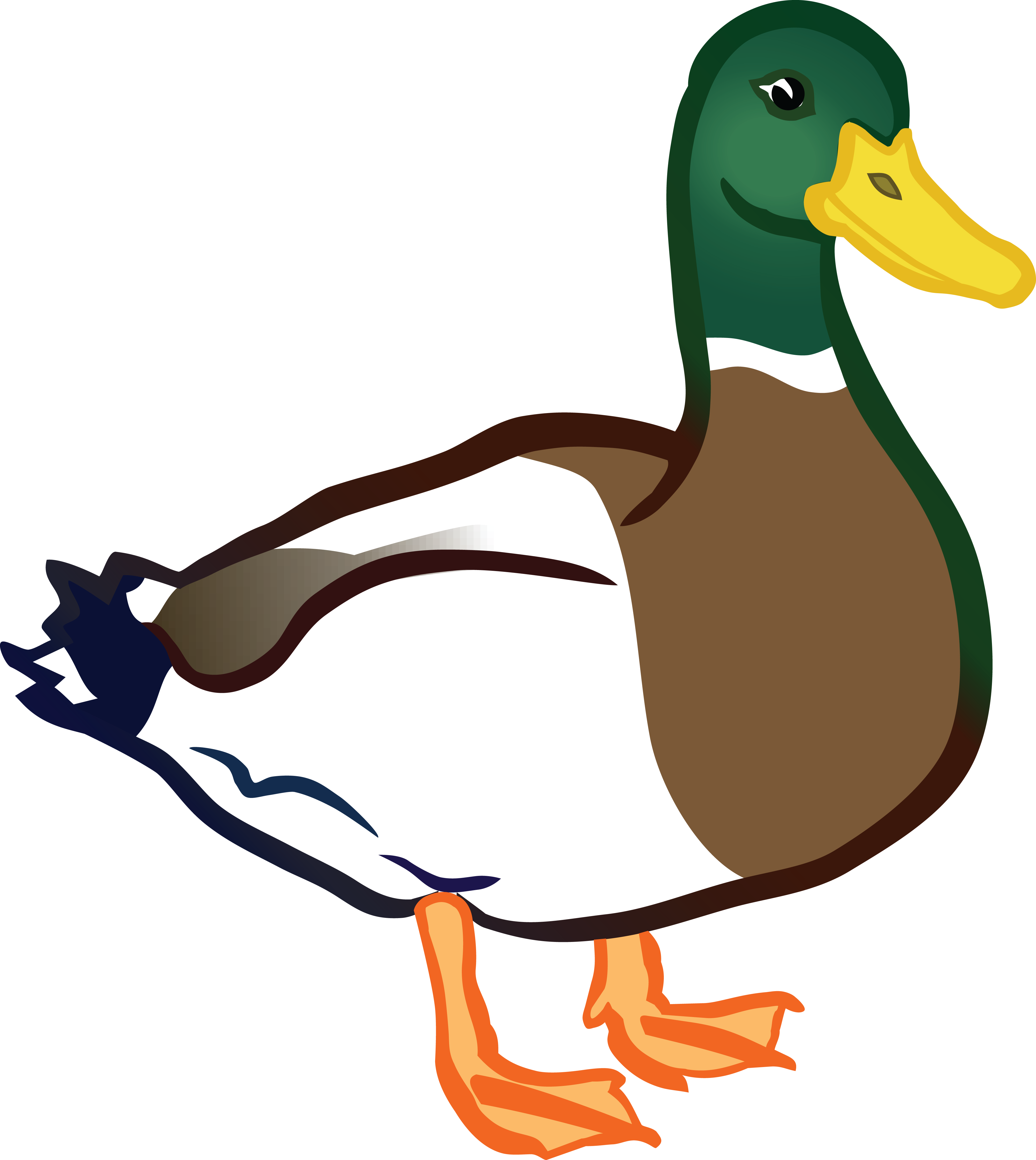 4000x4479 Collection Of Free Duck Vector Orange Foot Download On Ui Ex