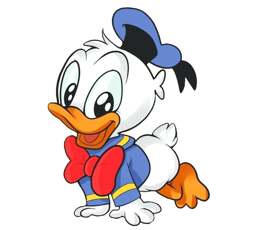 900x800 Drawings Of Donald Duck Image Titled Adding Head Details Step