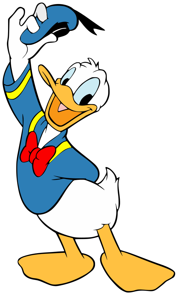 618x1022 Mallard Drawing Head Transparent Png Clipart Free Download