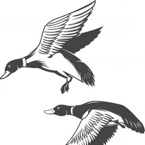 300x300 Duck Hunting Set Flying Ducks Shotgun Soidergi