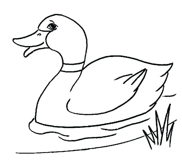 600x551 Duck Line Drawing