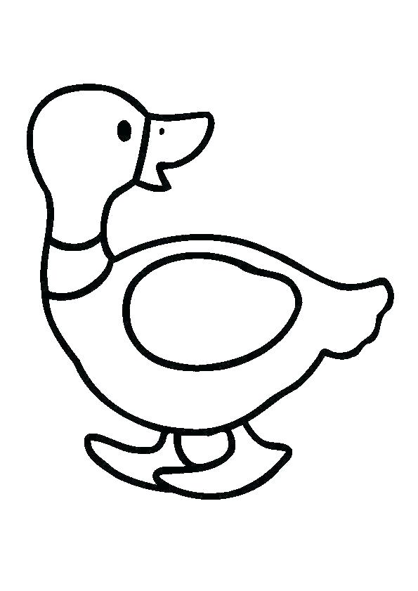 595x841 Easy Ducks To Draw Image Titled Draw Ducks Step Easy Drawing Duck