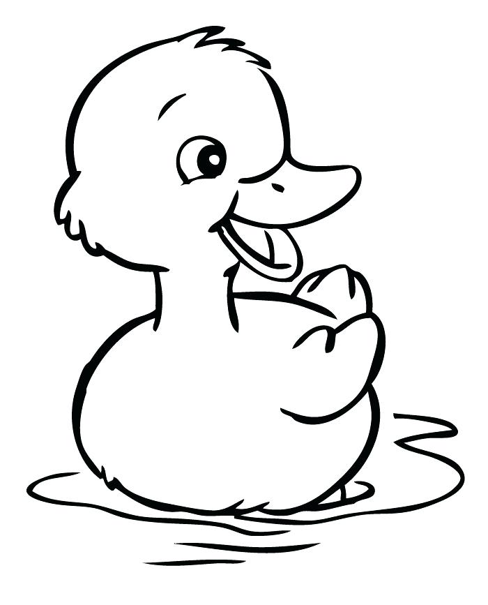 700x867 Baby Duck Drawing